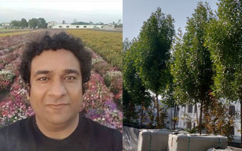 Meet the Green Man of India: An IRS officer who harbored 75 forests in a span of 4 years