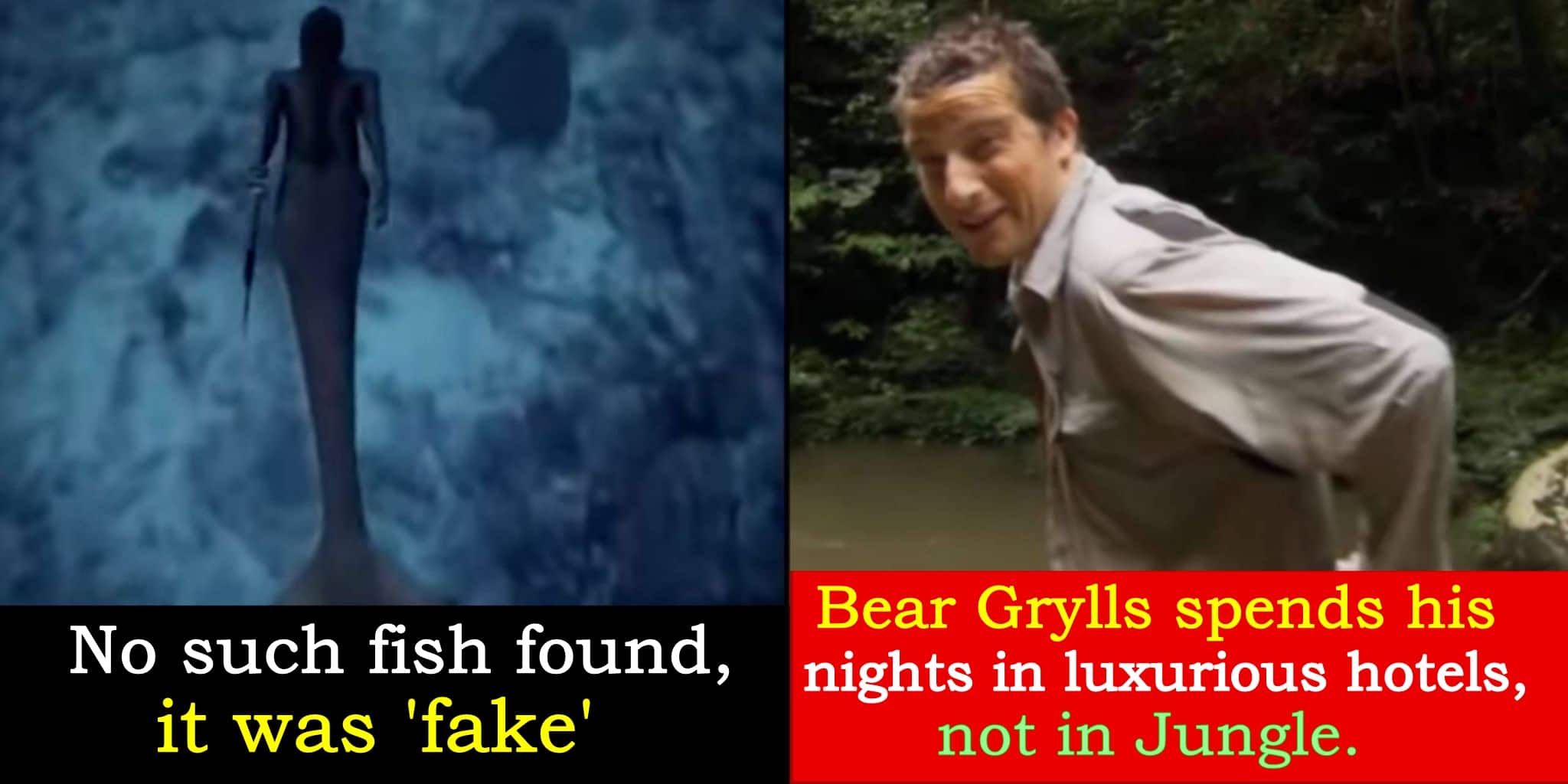 Ten times the discovery channel has lied to us, details inside