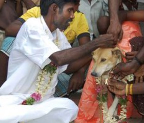 Very strange Wedding traditions in India and across the world, catch details