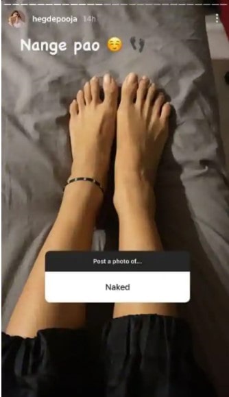 Pervert asks Pooja Hegde for ‘naked’ pic, here’s what she shared