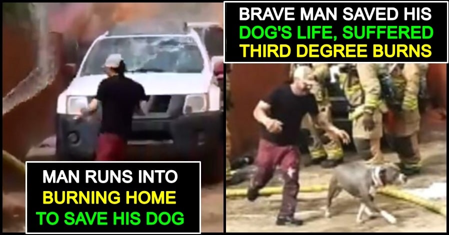 Man risks his life and jumps into fire to rescue his Dog; watch the Viral Video