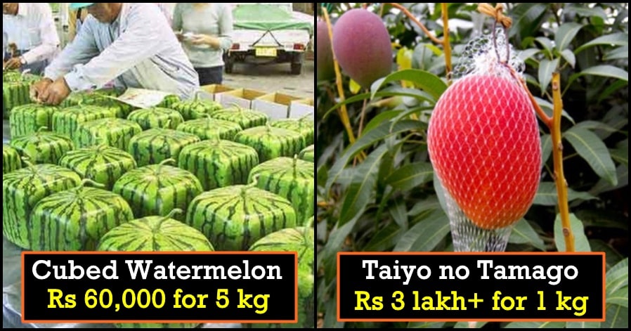 These expensive fruits in the world will leave you Shell-Shocked
