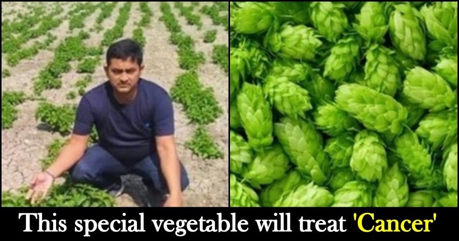 Bihar Farmer grows a vegetable that costs ₹85,000 a kg, it is also available in international markets