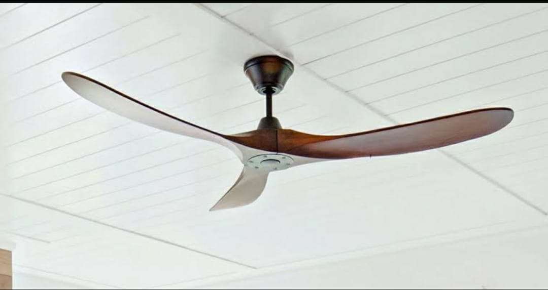 fans for your room