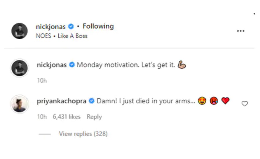 After divorce rumours; Priyanka leaves sentimental remark on Nick Jonas' post