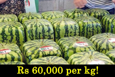 Did you know? This cube watermelon's cost is more than Engineer's monthly Salary