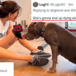 Samantha gives a slipper shot reply to troll saying "she will die alone with cats and dogs"