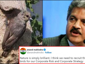 Billionaire Anand Mahindra wants to offer a Job to birds, here's the reason!
