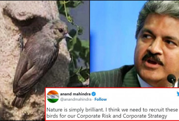 Billionaire Anand Mahindra wants to offer a Job to birds, here's the reason!
