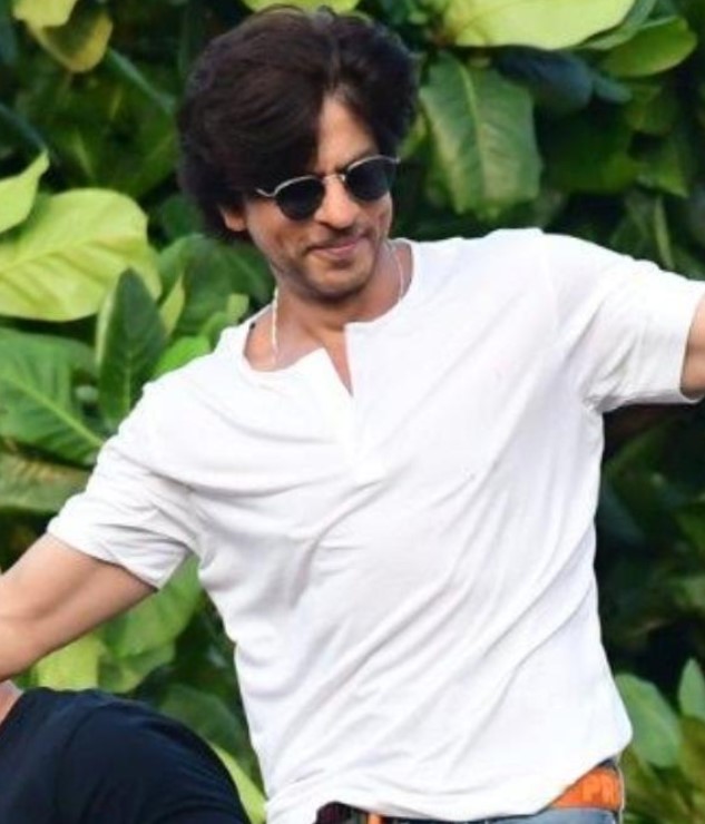 Mature Guy asks childish question to SRK, this is how the actor gave it back!