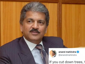 Anand Mahindra's tweet about nature 'taking revenge' goes viral on social media