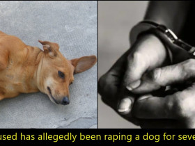 28-yr-old food delivery boy caught having sex with dog inside mall in Mumbai