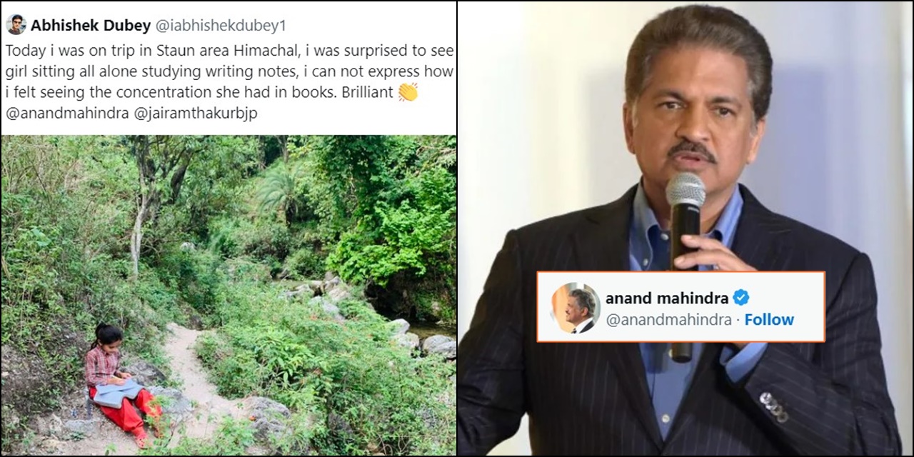 Girl sits alone and studies sincerely in Himachal forest, here's what Anand Mahindra replied...