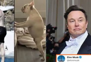 Elon Musk gives a quick reply to a fan who compared his shirtless picture with a dog