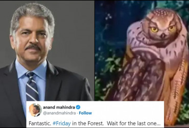 Is that an animal or a person? Anand Mahindra’s post will leave you stunned!