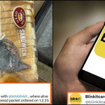 Blinkit Quickly Responds after Man Finds Rat inside packet of bread, catch details