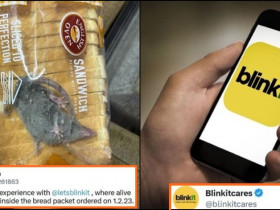 Blinkit Quickly Responds after Man Finds Rat inside packet of bread, catch details