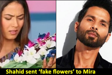 Mira Rajput reacts as Shahid Kapoor gifts her 'fake flowers', calls him 'cheap'