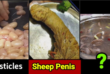 A List of 8 shocking food items that are consumed in China