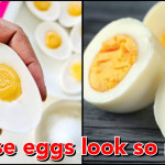 Youtuber tells how to make pure vegetarian Eggs, video goes viral