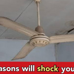Why do we have only 3 blades in ceiling fans in India, check out to know everything