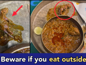 Mumbai hotel serves Rat inside Chicken dish, manager booked by the police