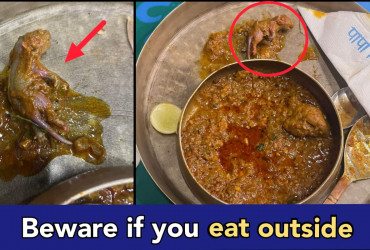 Mumbai hotel serves Rat inside Chicken dish, manager booked by the police
