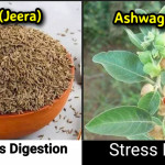 5 most important Ayurvedic trees for your health benefits, check out quick list