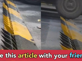 India introduced new technology to deal with people who drive on wrong side