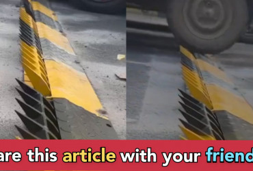 India introduced new technology to deal with people who drive on wrong side