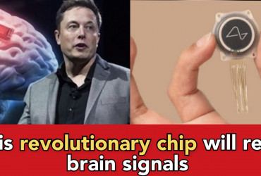 History made: Elon Musk's Neuralink implants first brain chip in human